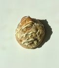 Banana Pudding Cookie